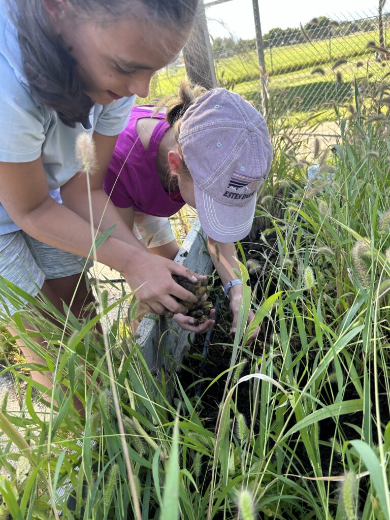 WMS Garden Club