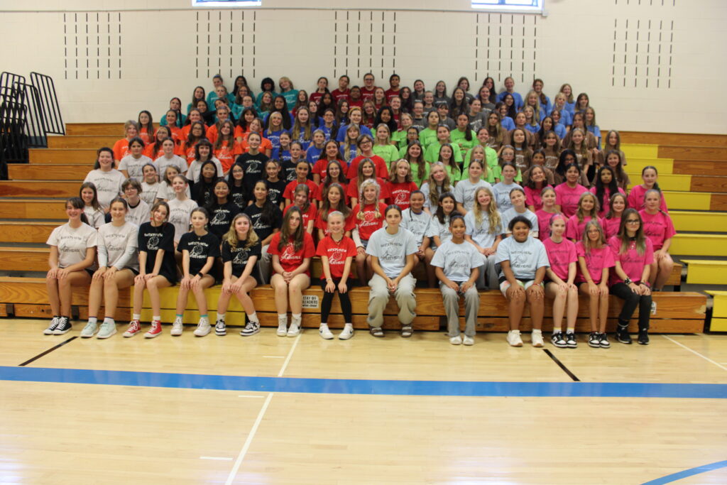 A large group of girls in colorful shirts poses together on gym bleachers for a team photo.