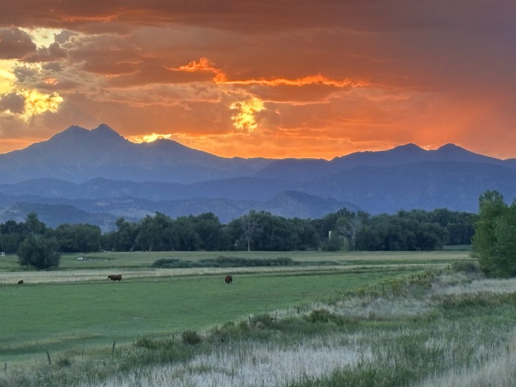 Sunset over mountains with vibrant orange and yellow skies, grassy fields, and grazing cows in the foreground.